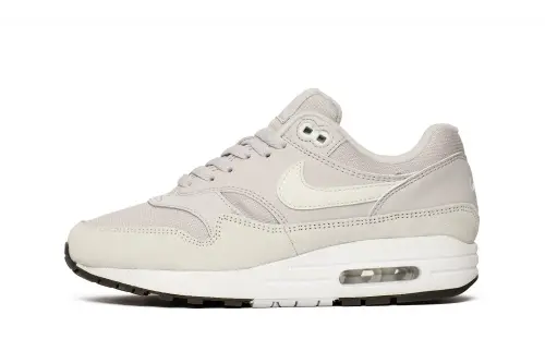 Nike WMNS AIR MAX 1 319986-043