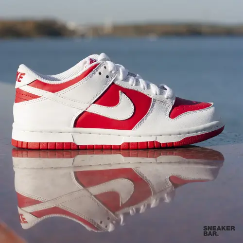 Кроссовки Nike Dunk Low (GS)