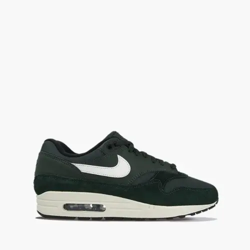 Nike AIR MAX 1 AH8145-303