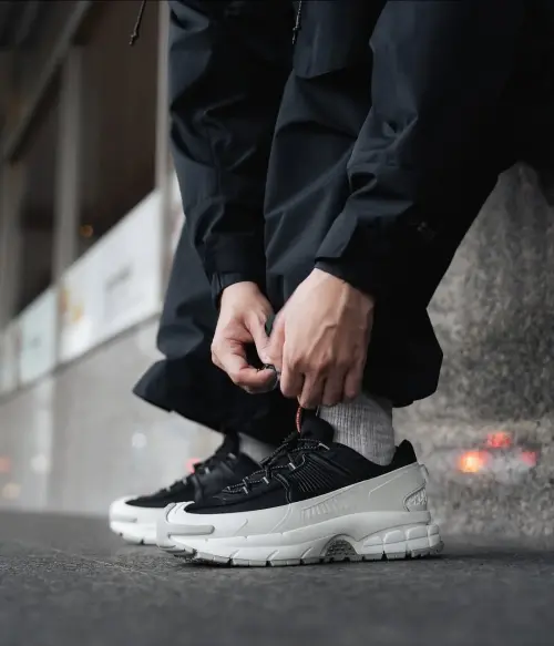 Кроссовки Nike Zoom Vomero Roam (FV2295-001)