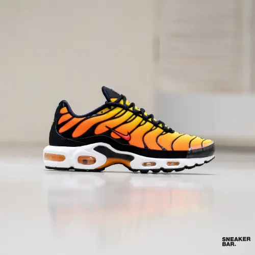 Кроссовки Nike Air Max Plus 