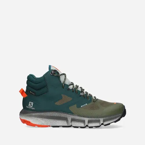 Мужские Salomon Hike Mid Gore-Tex 414611