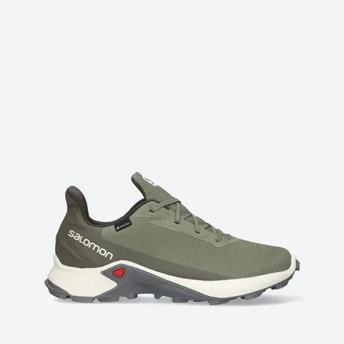 Мужские Salomon Alphacross 3 Gore-Tex 413595
