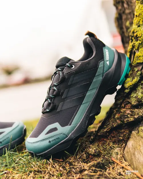 Кроссовки Adidas Terrex Skychaser AX5 GTX 