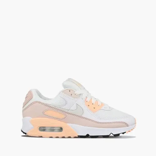 Кроссовки Nike W Air Max 90 CT1030 101