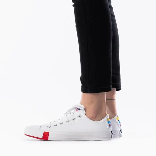 Converse Chuck Taylor All Star 166737C