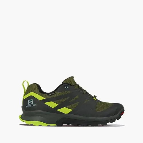 Мужские Salomon Xa Rogg Gore-Tex GTX 411117