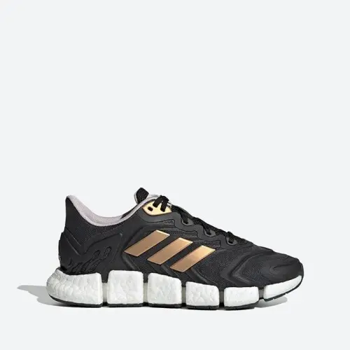 Кроссовки adidas Climacool Vento W G54909