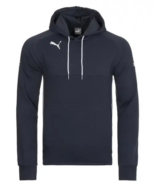 Puma Esito 3 Hoody 