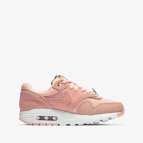 Nike Air Max 1 NK Day (GS) AT8131 600