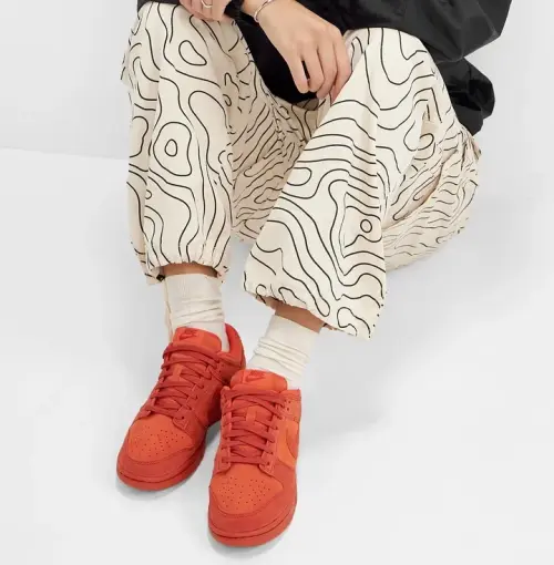 Кроссовки Nike Dunk Low SE (HQ1931-200)