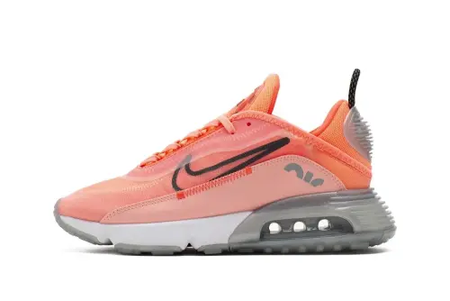 Nike WMNS Air Max 2090 CT7698-600
