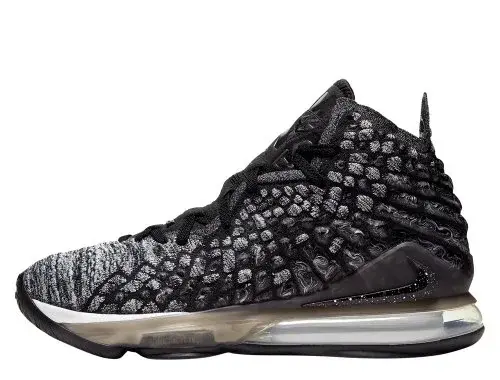NIKE LEBRON 17 IN THE ARENA