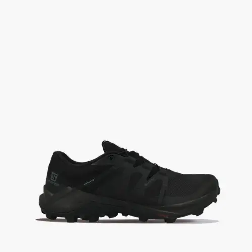 Мужские Salomon Wildcross Gore-Tex Gtx 410530