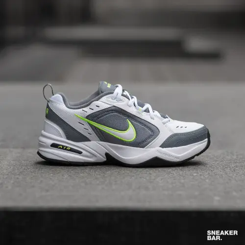 Air Monarch IV