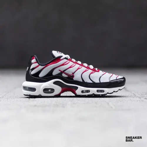 Кроссовки Nike Air Max Plus 
