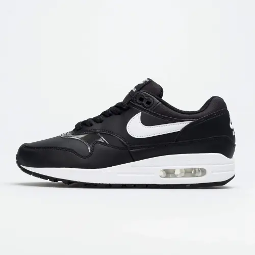 Nike WMNS AIR MAX 1 319986-044
