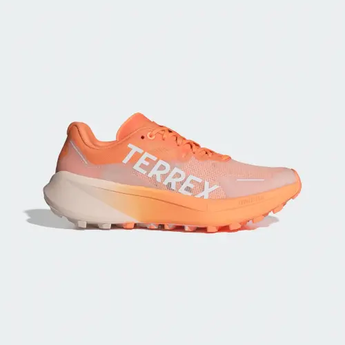 Кроссовки для бега Adidas Terrex Agravic 3 Trail
