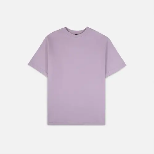 Футболка ASHB 103 Tee Salted Plum 