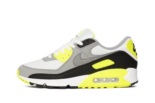 Кроссовки Nike Air Max 90 CD0881 103