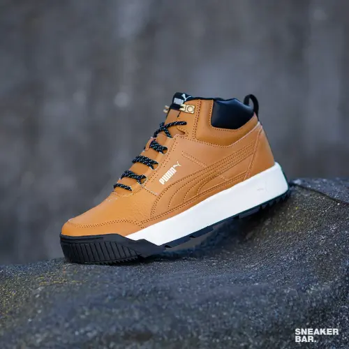 Puma Tarrenz SB II 