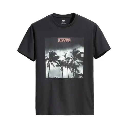 Levis Graphic Set-in Neck 2 