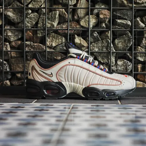 Nike Air Max Tailwind IV SE 