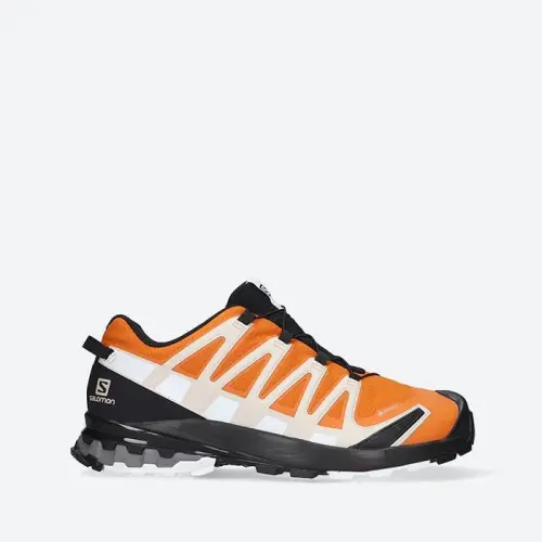 Мужские Salomon Xa Pro 3D V8 Gore-Tex 415640