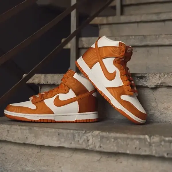 Кеды Nike Dunk Hi Retro SE (DV7223-800) обзор модели