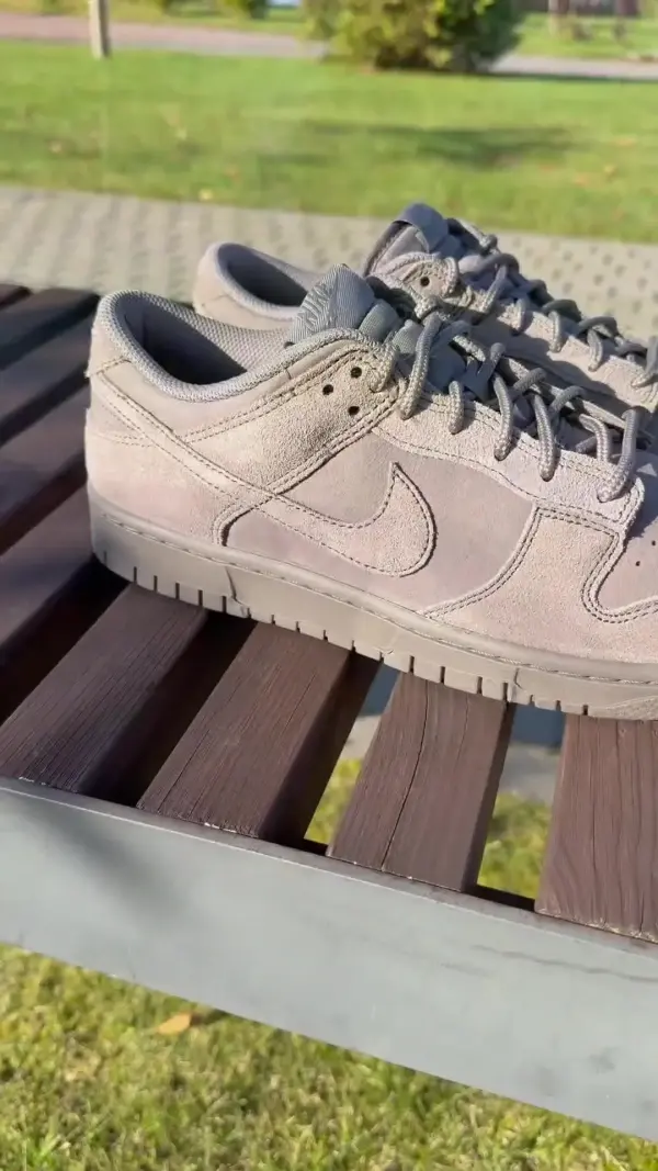 Nike DUNK LOW RETRO SE