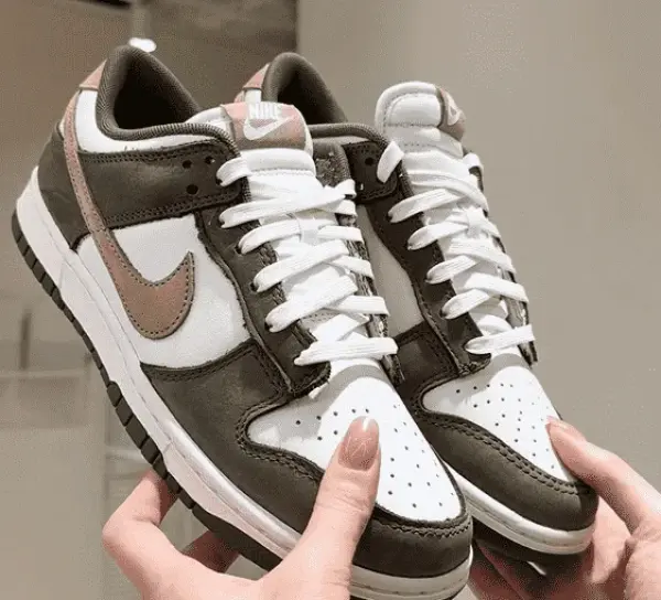Кроссовки Nike Dunk Low Retro Premium (FQ8250-200) обзор в руках