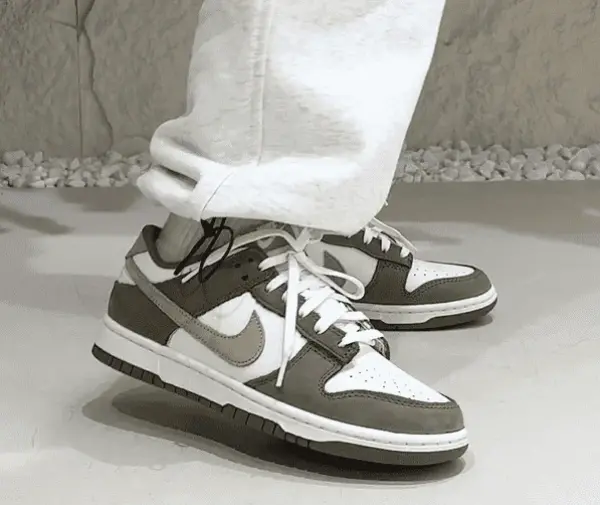 Кроссовки Nike Dunk Low Retro Premium (FQ8250-200) обзор на ногах