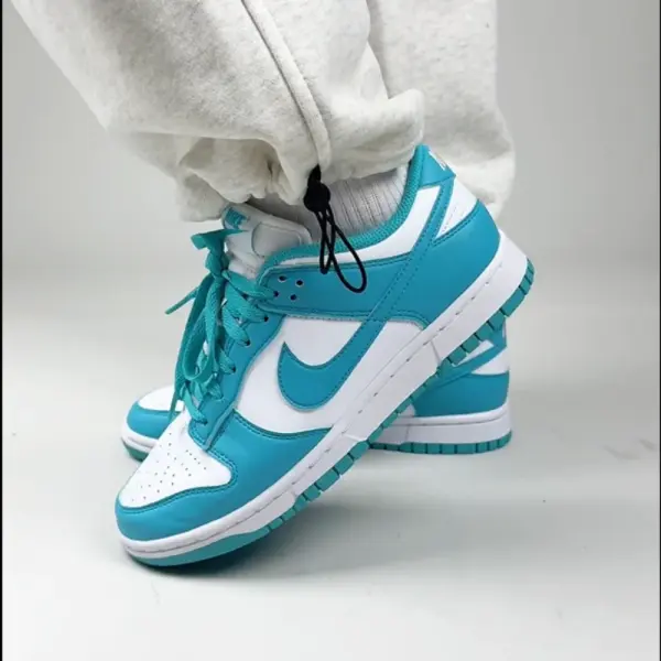 Кеды Nike Dunk Low Next Nature (DD1873-105) обзор на ногах