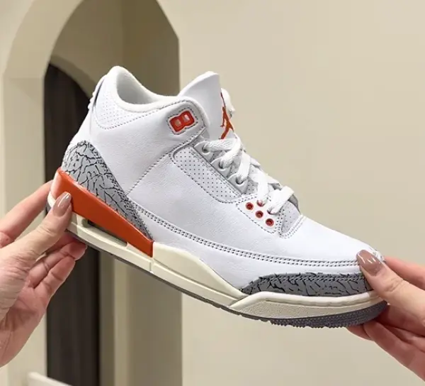 Кроссовки Jordan 3 Retro (CK9246-121) обзор в руках