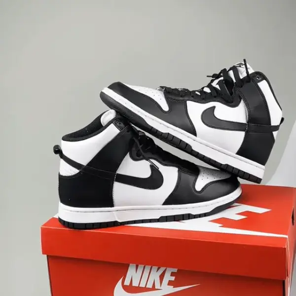 Кроссовки Nike Dunk Hi Retro (DD1399-105) обзор модели