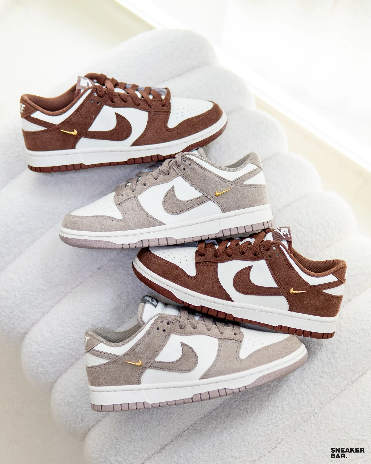 Dunk Mini Swoosh