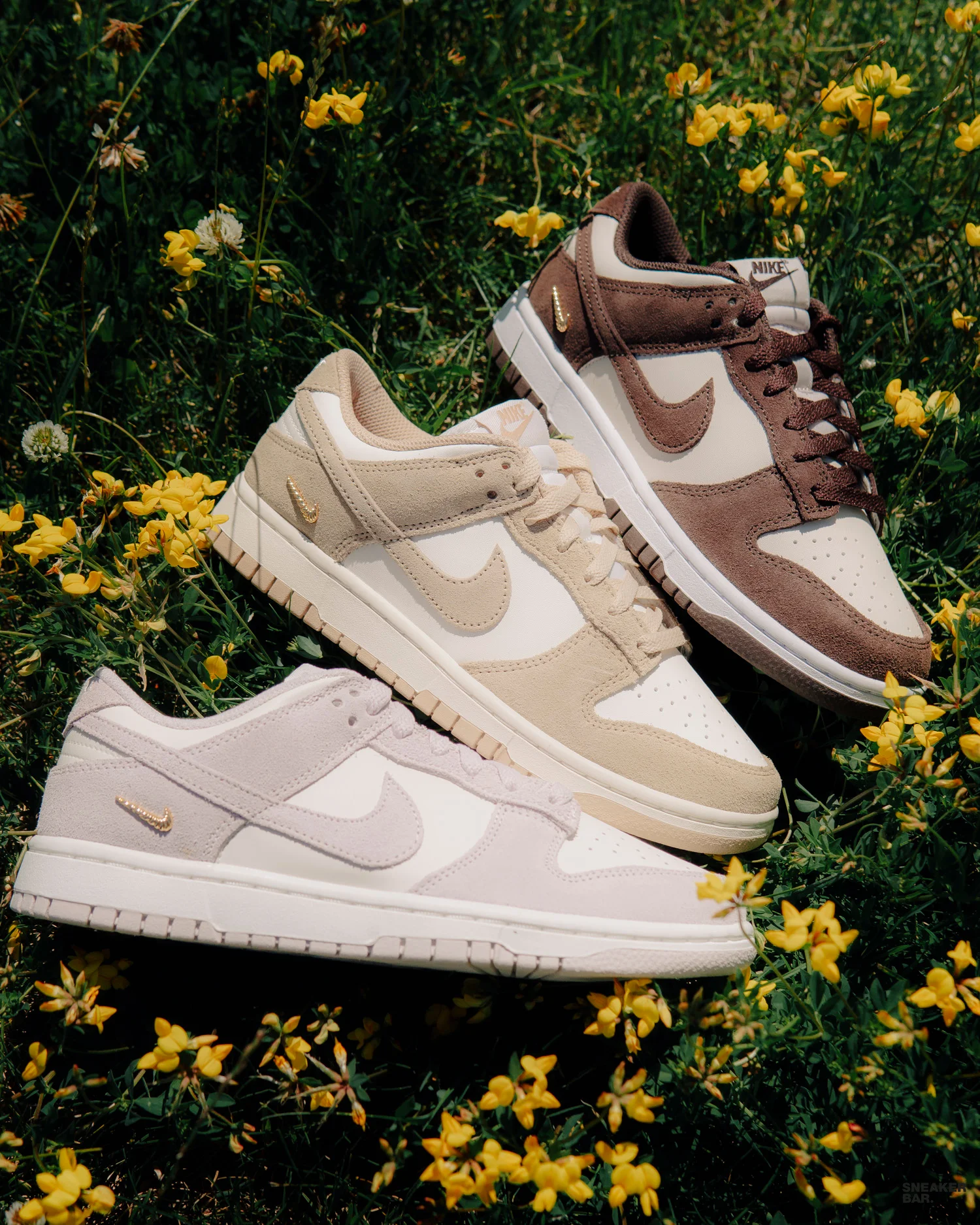 Dunk Low