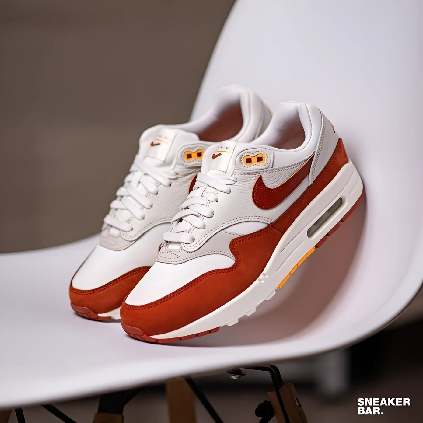 Nike Air Max (1)