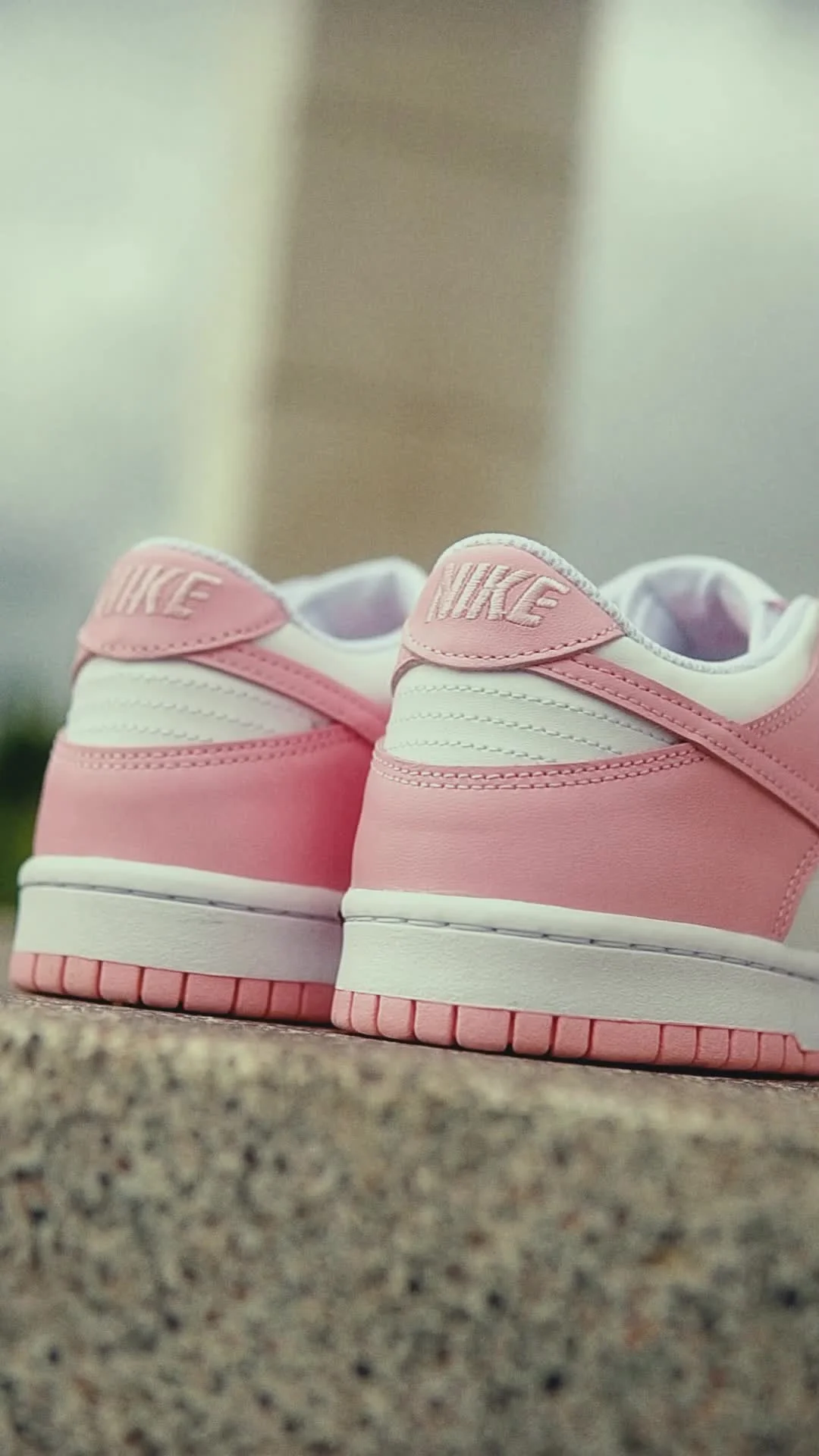 Nike DUNK LOW (GS) (FB9109-125)