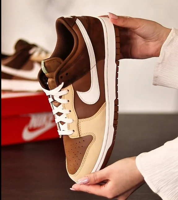 Кроссовки Nike Dunk Low Retro Premium (HV1794-211)