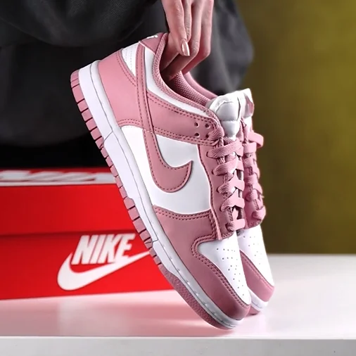 Кроссовки Nike Dunk Low Next Nature W (DD1873-112)