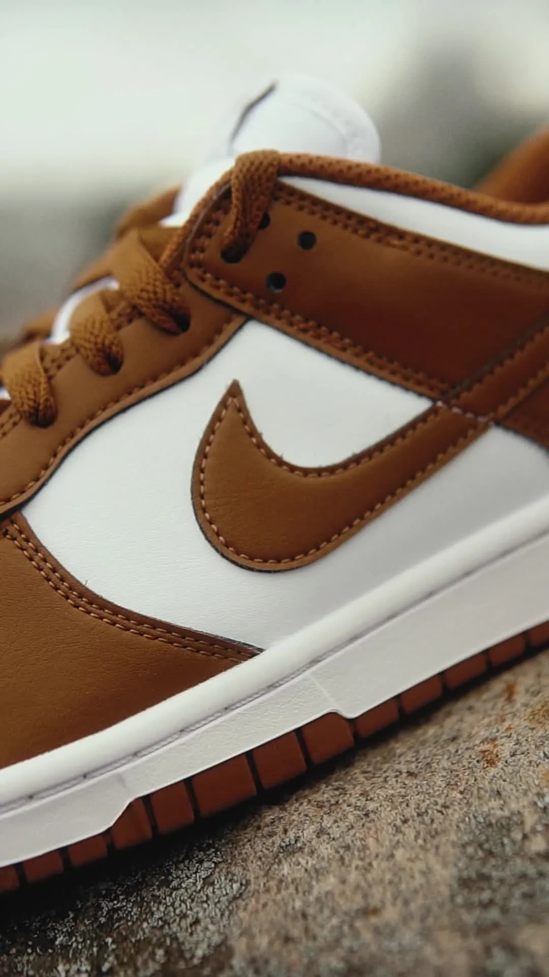 Кроссовки Nike W DUNK LOW (IM6572-101)