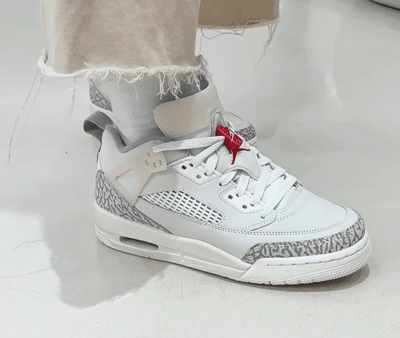 Кроссовки Jordan Spizike Low (GS) (FQ3950-100)