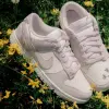 Кроссовки Nike WMNS DUNK LOW (IO4244-100)