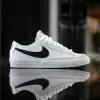 Nike Blazer Low 77 (GS) (DA4074-101)