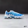 Кроссовки Nike Air Max Plus (852630-411)