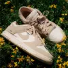 Кроссовки Nike WMNS DUNK LOW (IO4244-101)