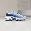 Кроссовки Nike Air Max Plus W (FJ4736-400)