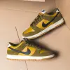 Кроссовки Nike Dunk Low Retro SE (IB6399-300)