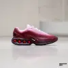 Кроссовки Nike Air Max DN W (HQ4050-600)